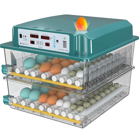 Photo of a modern egg incubator