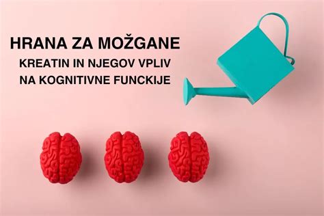 Infografika: Živila za izboljšanje spomina in koncentracije