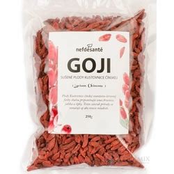 Ilustracija grma goji jagod z zrelimi plodovi