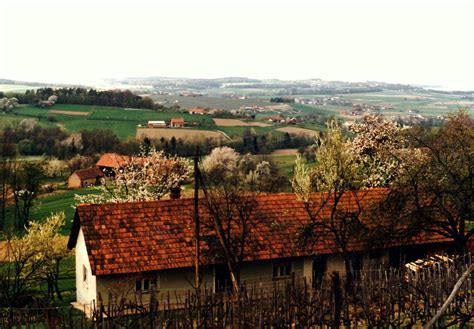 pogled na kraško pokrajino z burjo