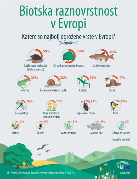 infografika o različnih vrstah škroba in njihovi uporabi v kulinariki