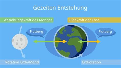 Theoretische Darstellung des Einflusses des Mondes auf Pflanzenwachstum und Gezeiten