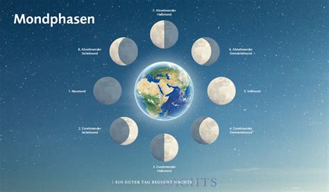 Infografik: Übersicht der Mondphasen und ihrer Einflüsse auf verschiedene Pflanzenteile