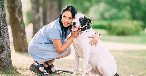 fotografija živahnih zelenih travnikov z živalmi