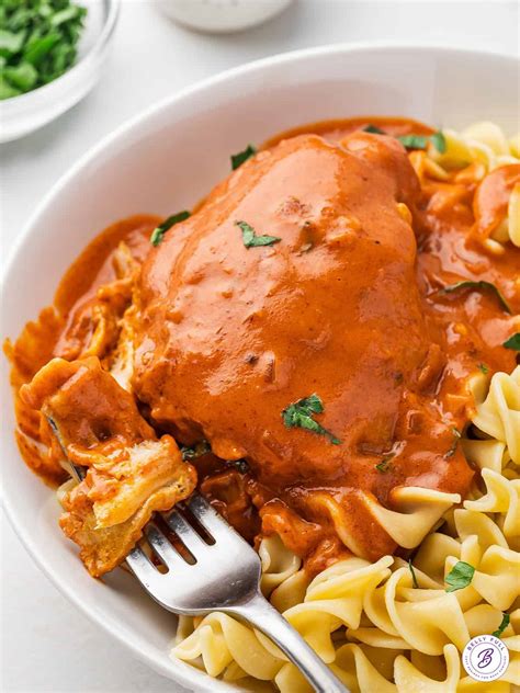 Thematic photo of a bowl of chicken paprikash with noodles