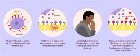 Shema: delovanje antihistaminika na histaminske receptorje