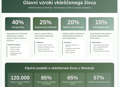 Infografika: shema vzrokov in rešitev za počasen računalnik