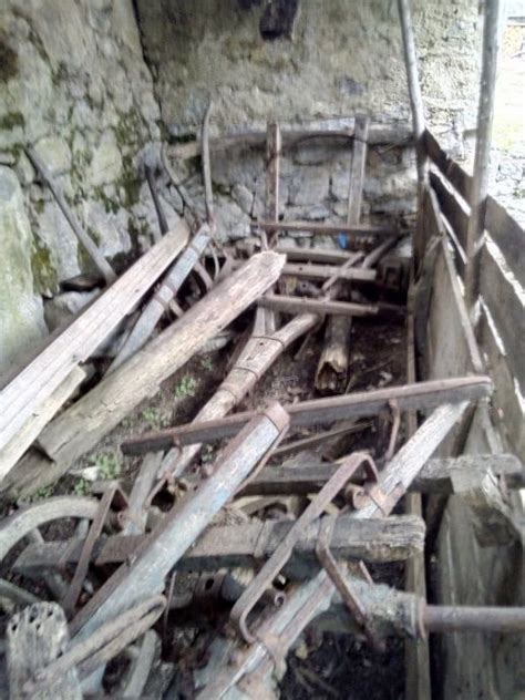 Starinska slika voza, ki ga vleče krava