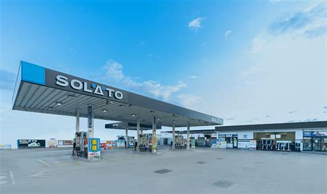 Ilustracija čičerikinih polpetov s solato