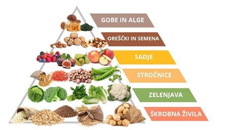 Infografika: Veganska prehrambena piramida s priporočenimi dnevnimi porcijami škroba, zelenjave, stročnic, sadja, oreščkov in alg.