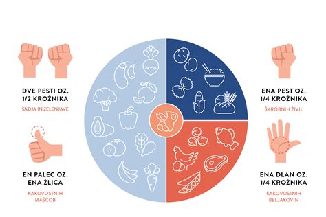 Infografika o sestavi uravnoteženega šolskega obroka s poudarkom na zelenjavi in beljakovinah.