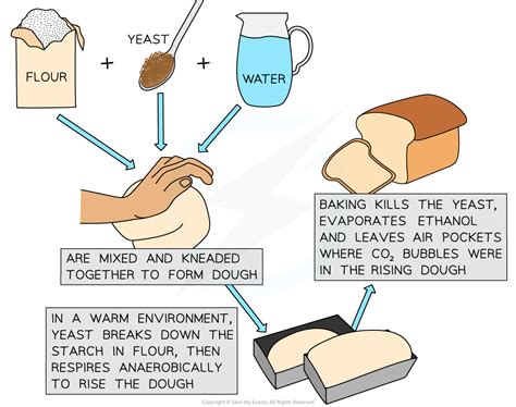 Infographic showing common yeast mistakes in dough preparation