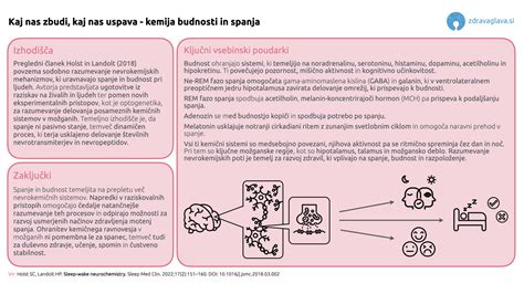 Infografika, ki prikazuje povezavo med pinealno žlezo, izločanjem melatonina in ciklom spanja ter budnosti.