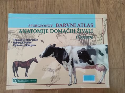 slika raznolikih domačih peciv