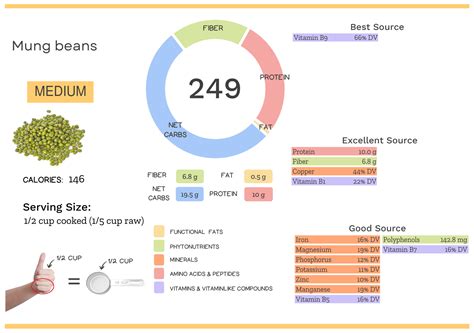 Infographic of green bean nutritional values