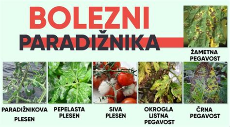 Kolaž različnih omak za pico brez paradižnika