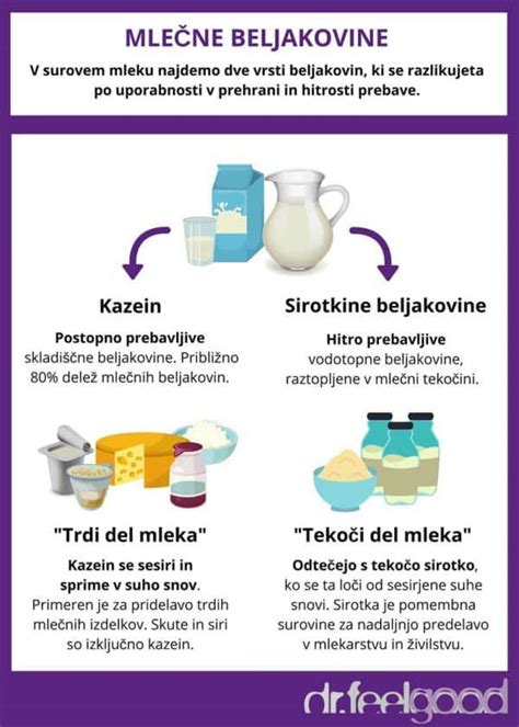 infografika: primerjava različnih vrst smetan (mlečnih in rastlinskih)