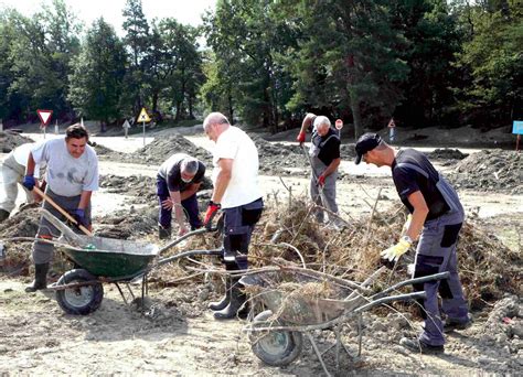 Ilustracija pravilnega nabiranja gob in čiščenja na terenu