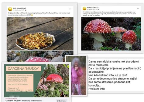 Infografika o sestavinah in učinkih rdeče mušnice