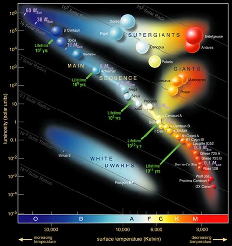 Hertzsprung-Russellov diagram z označenimi glavnimi področji: glavna veja, orjakinje, bele pritlikavke.