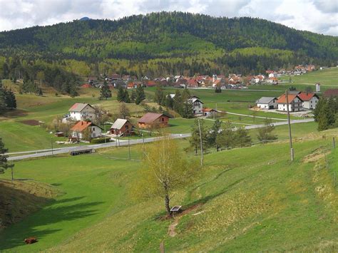 Tematska fotografija: Polje fižola v Sloveniji