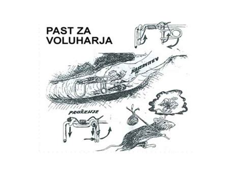 Ilustracija voluharja in krtovih rovov za primerjavo