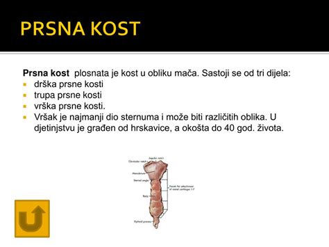 Korak 2: Odstranjevanje hrbtenice in prsne kosti piščanca