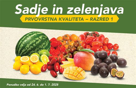 infografika: sadje vs. zelenjava po botanični in kulinarični definiciji