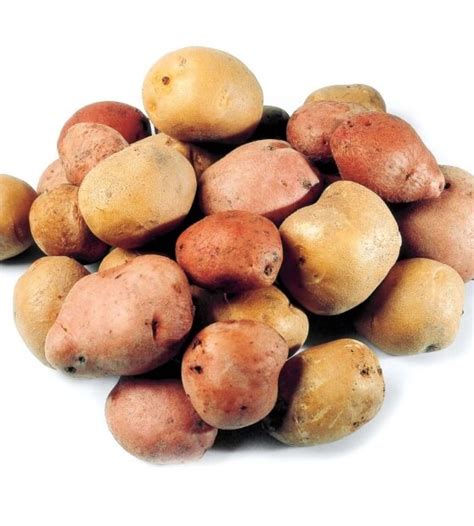 slika kuhanega krompirja, ki se ga prebadajo z vilico