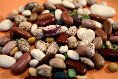 Variety of dried beans with labels