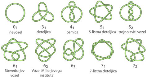 infografika: Vozli in vezanje predvezov za lov lignjev