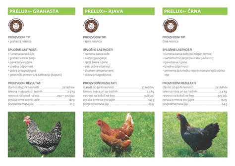 Pregledna tabela z različnimi pasmami kokoši, njihovimi lastnostmi (nesnost, teža, odpornost)