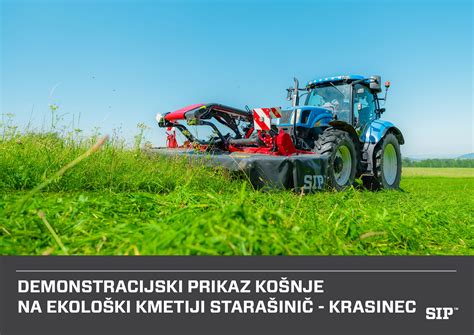 Prikaz oblikovanja krompirjevih cmokov z nadevanjem sliv in zapiranjem testa