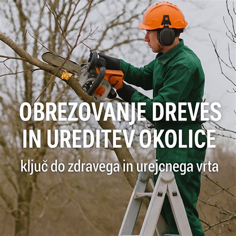 Fotografija urejenega vrta s poudarkom na čistosti