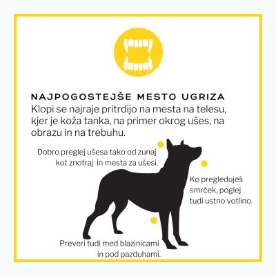 Slika ultrazvočnega odganjalca klopov in bolh za pse