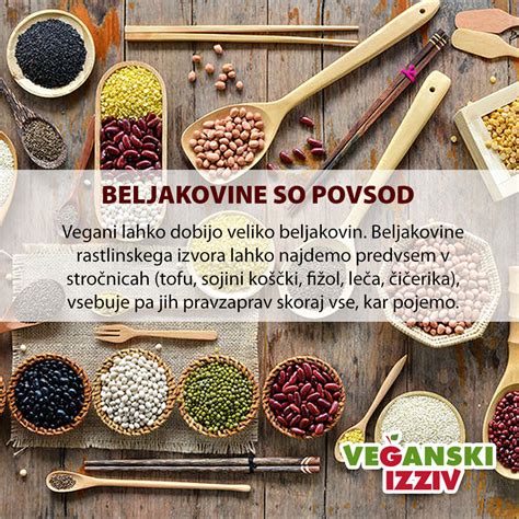 Tematska fotografija, ki prikazuje uravnoteženo vegansko prehrano z različnimi rastlinskimi živili.