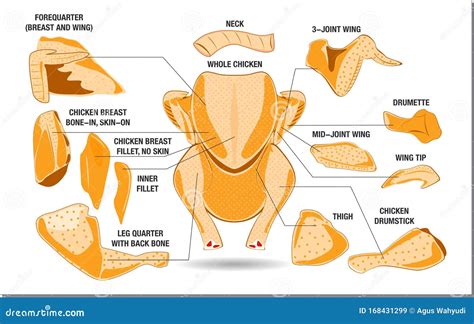 Infographic of different chicken cuts