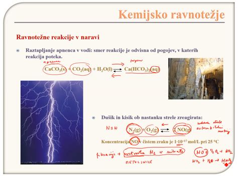 Grafični prikaz vpliva različnih rej na kemijsko sestavo mesa