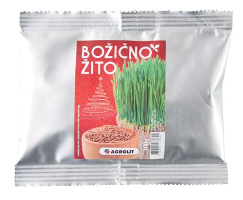 Božično žito v lončku, simbol plodnosti