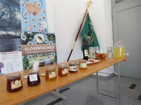 Slikovita predstavitev različnih vrst tort, vključno z zgodovinskimi