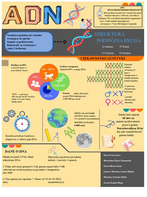 Koraki priprave piškotnega dna (infografika)