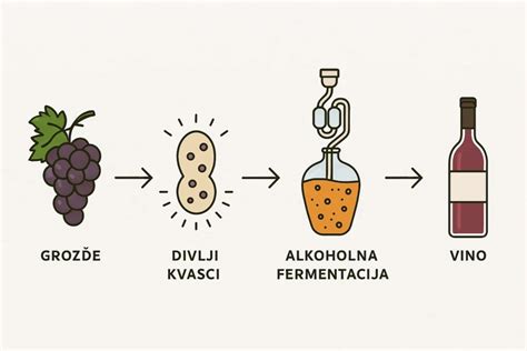 fermentacija zelja pena