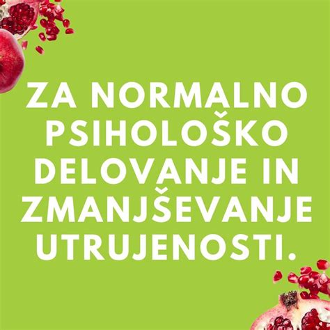 Različice guacamoleja z dodatki manga, koruze in granatnega jabolka