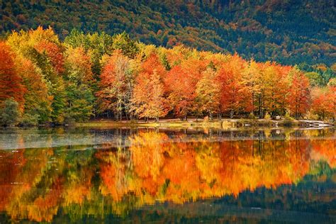Tematska fotografija piščančjega paprikaša z gobami in bučo, jesenske barve
