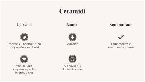 Infografika ključnih sestavin zrcalne glazure
