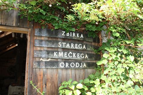 Ilustracija starega slovenskega kmečkega dvorišča s posevki fižola.