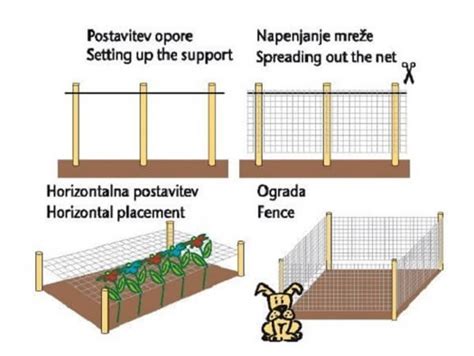 Shema postavitve opornih mrež za fižol