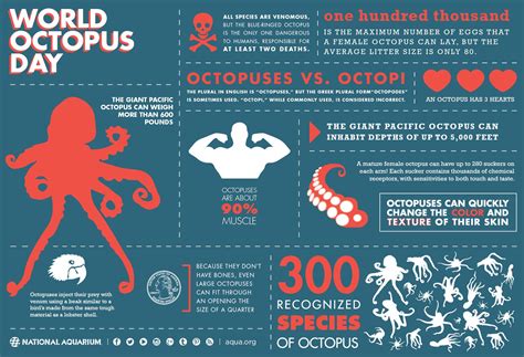 Infographic of octopus freezing and thawing process