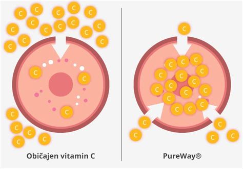 Infografika o koristih vitamina C in bioflavonoidov