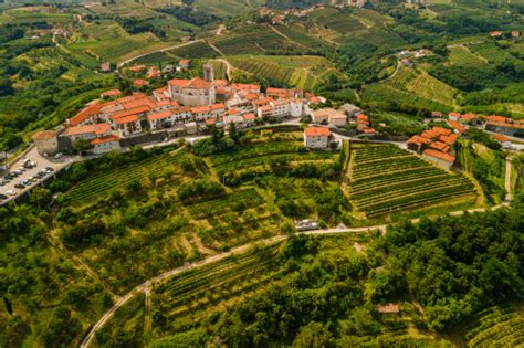 Tematska fotografija: Panoramski pogled na Goriška Brda z vinogradi in tradicionalno hišo